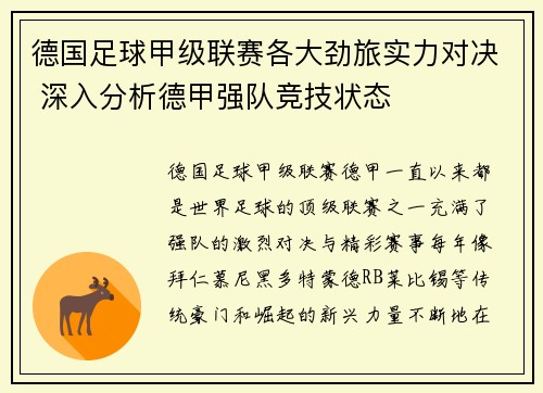 德国足球甲级联赛各大劲旅实力对决 深入分析德甲强队竞技状态